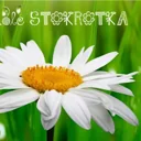 Logo of Stokrotka Domowe Przedszkole